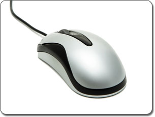 Mouse or Other Pointing Device