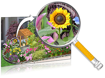 Landscape Design Software by Idea Spectrum