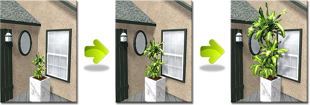 Realistic Landscaping Plants