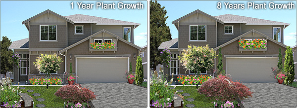 Predict plant growth in your landscape designs