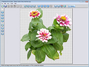 Realtime Picture Editor
