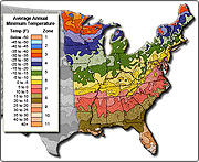 Over 3200 Plants in our Landscape Design Software