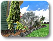 Realistic Plants and Rockery