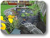 Pond Design