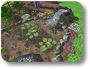 Pond and Waterfall Ideas